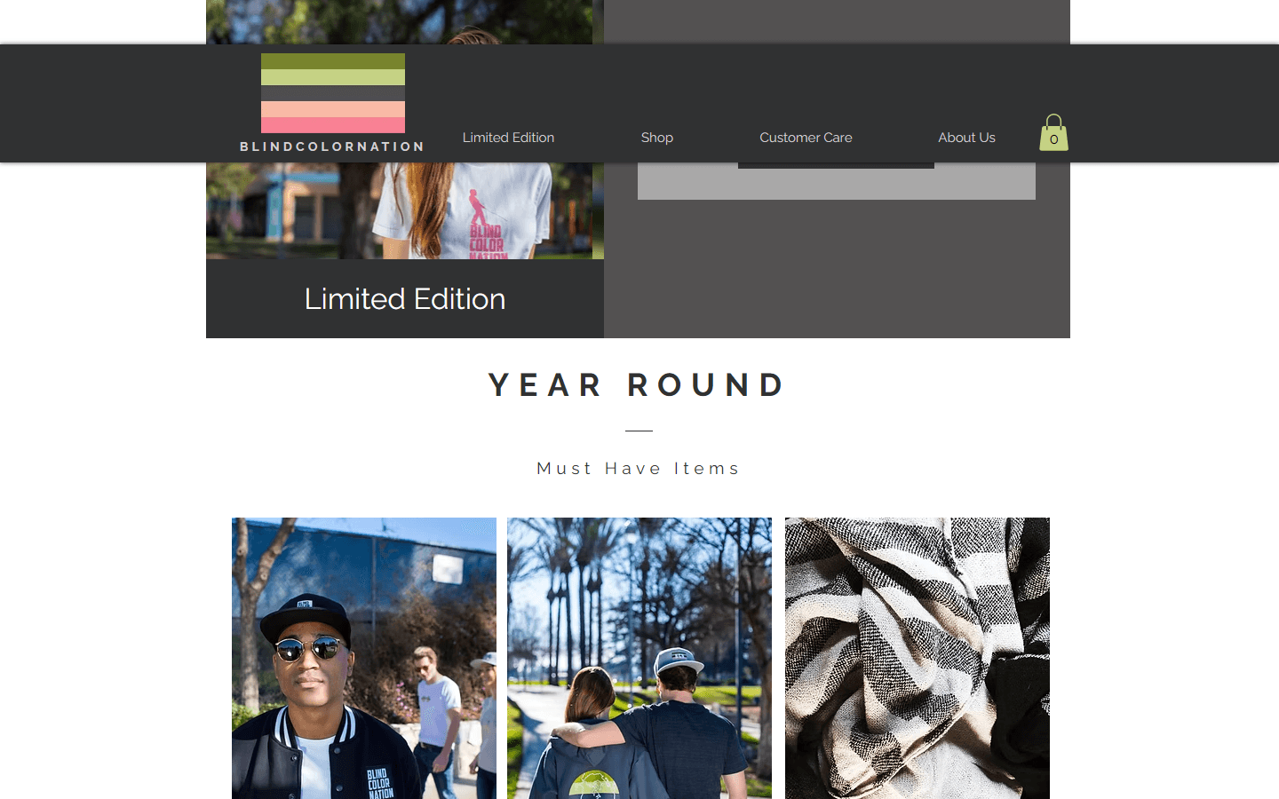 Blind Color Nation — Streetwear Identity, Storefront & Campaign — Storefront